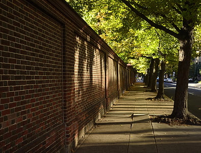 brown brick wall thumbnail