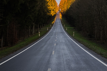 long asphalt road with trees on side thumbnail