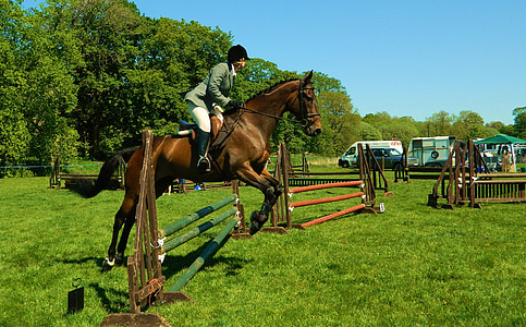 jockey riding jumping brown horse thumbnail