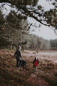 two person with dog walking on filed near trees thumbnail