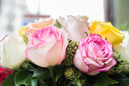Pink, White and Yellow Flowers thumbnail