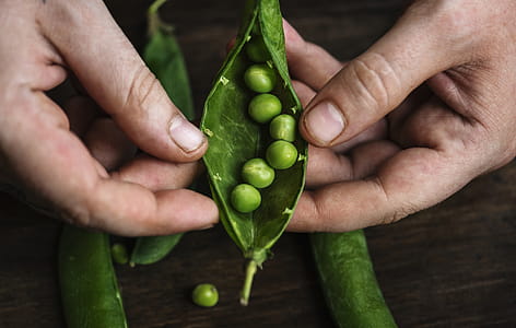 Person Holding Oval Green Vegetable With Beans thumbnail