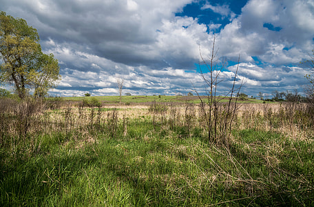 Clouds over the Marsh Landscape thumbnail
