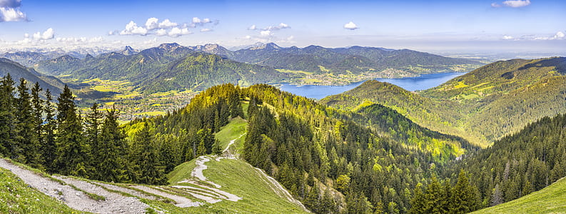 aerial photography of trees on mountain near body of water thumbnail