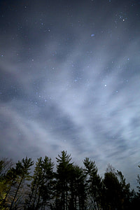 low angle photography of green leaf trees under starry sky during night time thumbnail