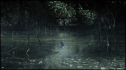 Monster Hand coming up from the Swamp thumbnail