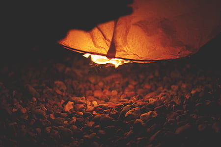 light above leaf thumbnail
