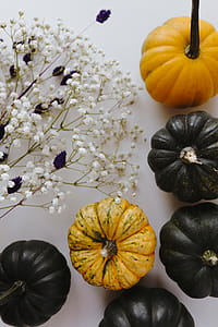 Small yellow and dark green pumpkins on a white background thumbnail