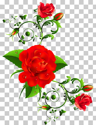 International Women's Day Wish Happiness Greeting card, Red Roses Decor , red flowers illustration PNG clipart