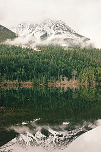body of water near trees and snowy mountain thumbnail