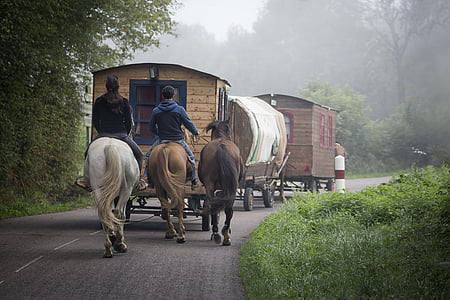 people riding horses while pulling wagons thumbnail