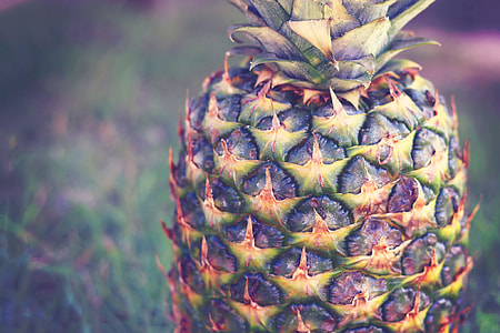 close up photo of green and yellow pineapple thumbnail