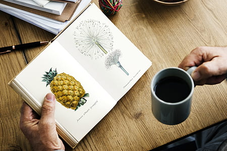 person holding gray ceramic mug thumbnail