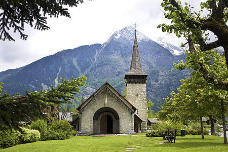 gray concrete church surrounded by trees thumbnail