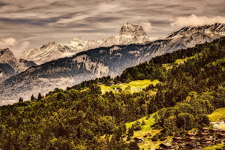 green leafed trees near mountains thumbnail