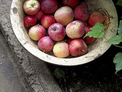 red apples on gray steel tray thumbnail