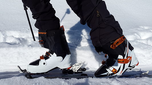 pair of white-and-black snow skis thumbnail