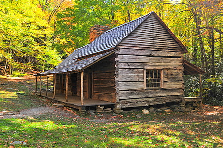 brown wooden house near tree at daytime thumbnail