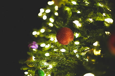 red bauble on tree thumbnail