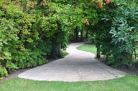 green leaved trees thumbnail