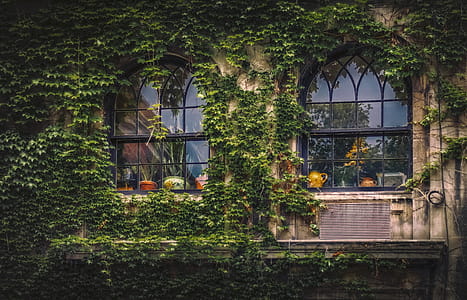 Black Metal Frame Glass Window thumbnail