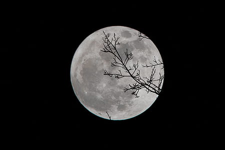 photo of moon thumbnail