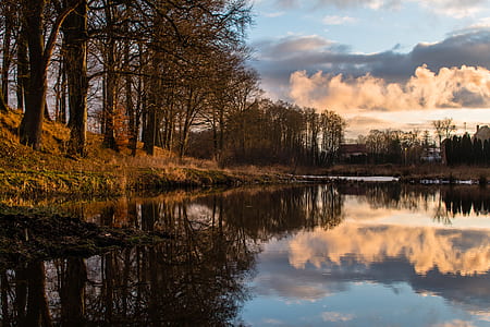 brown trees and lake thumbnail
