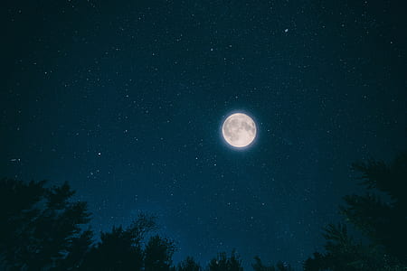 worm's eyeview of full moon thumbnail