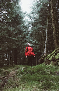man in forest looking at tall tree thumbnail