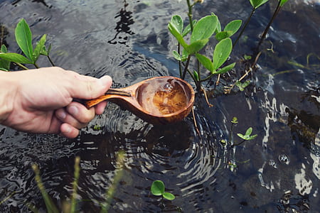 brown wooden spoon thumbnail