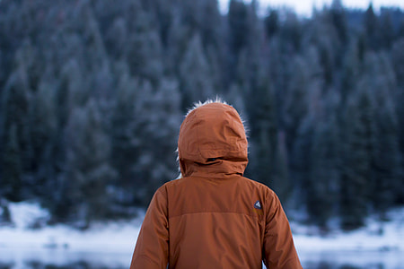 person looking at green trees thumbnail