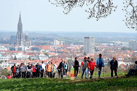 group of people walking under green leaf tree thumbnail