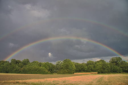 green field under rainbow thumbnail