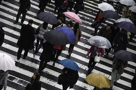 group of people passing through pedestal lane during daytime thumbnail