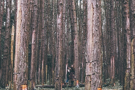 two women standing in the middle of forest thumbnail
