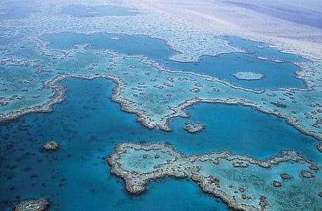 aerial photography of The Great Blue Hole thumbnail