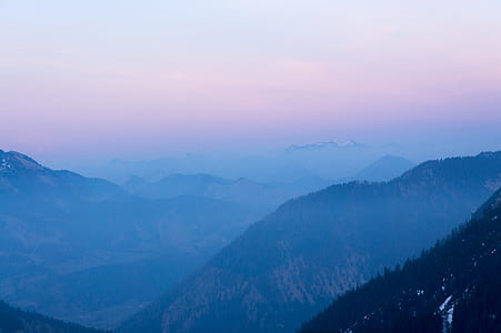 tree covered mountain at golden hour thumbnail