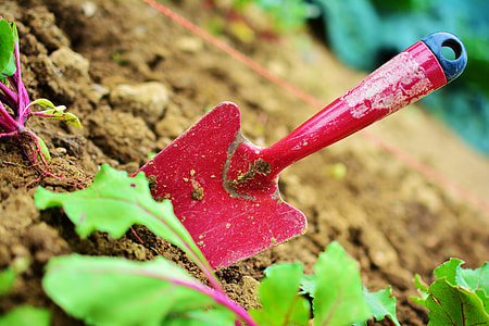 red trowel on soil thumbnail