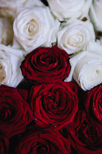 White And Red Roses Bouquet thumbnail