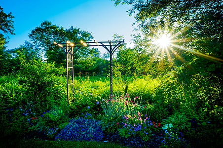 black metal frame on garden thumbnail