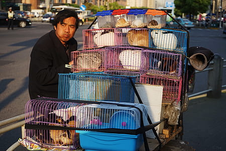 man standing beside pet cages with animals inside thumbnail