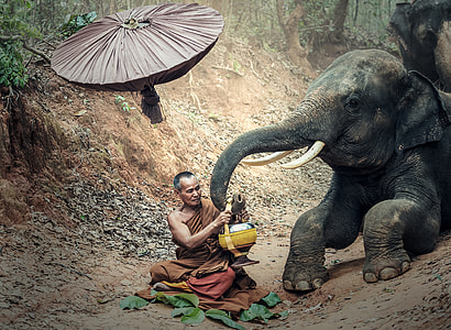 vignette photograph of man and elephant thumbnail