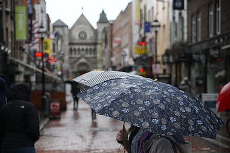 woman holding floral umbrella thumbnail