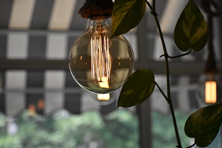 compact light bulb decor thumbnail