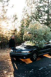 pine tree on top of black sedan thumbnail