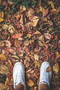 person wearing shoes standing on dries leaves thumbnail
