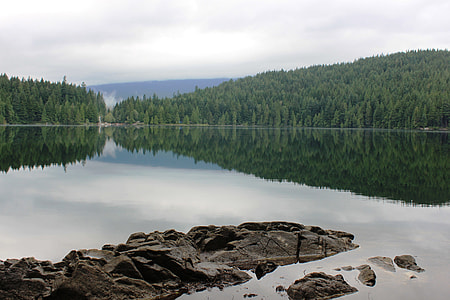 body of water beside forest thumbnail