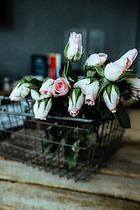 Pink flowers in a metal basket thumbnail