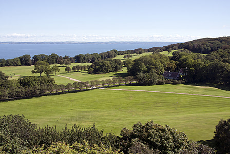 green grass beside trees under blue sky thumbnail