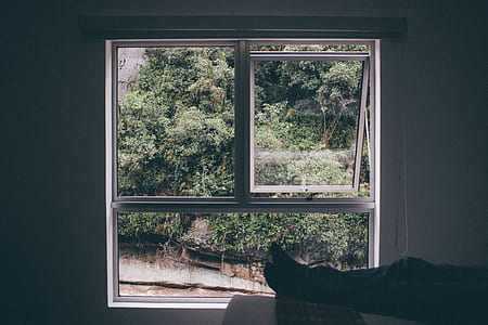 white sash window open thumbnail